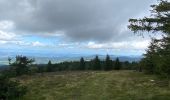 Randonnée Marche Chalmazel-Jeansagnière - Col de la Loge - Col du Béal - Photo 5