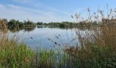 Percorso Marcia Mézières-en-Brenne - Mézières - Domaine de Bellebouche - Photo 2