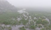 Trail Walking Vacheresse - Ubine Mousse Bise - Photo 2