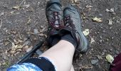 Trail Walking Gesves - Sentiers d'Art boucle bleue 12km - Photo 1