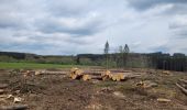 Tour Wandern Hohenfels - rando ornitho wibrin 26-04-2024 - Photo 5