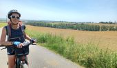 Trail Mountain bike Miradoux - miradoux lectoure  terraude marsolan condom Montréal du gers  - Photo 16