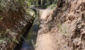 Trail Walking Carcès - chutes du Caramis - Photo 2