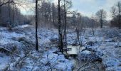 Randonnée Marche Tenneville - Laneuville aux bois 180124 - Photo 18