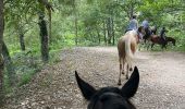 Trail Horseback riding Accous - Accous-Lescun-Lhers - Photo 17