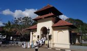 Randonnée Marche Kandy - Sri-06 Kandy - Les balcons du thé - Peradeniya - Photo 5