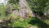 Tour Wandern Oberhaslach - Oberhaslach - Photo 9