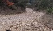 Trail Walking Mons - Celas Bos Nègre  - Photo 3