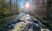 Randonnée Marche Gedinne - Balade à Patignies - Gedinne - Photo 17