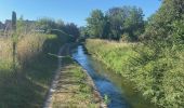 Tour Wandern Grez-Doiceau - GRP 127: de Archennes à Wavre - Photo 16