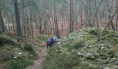 Trail Walking Fontainebleau - carrefour Acheté 3 février 2023 - Photo 2