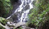 Excursión Senderismo Châtel-Guyon - cascade de l'écureuil ,vallée du sans soucis, château de Chazeron  - Photo 5