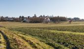 Tocht Stappen Sablons sur Huisne - Condé-sur-Huisne - Coudreceau 12 km - Photo 10