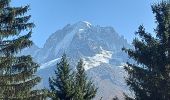 Tocht Stappen Chamonix-Mont-Blanc - 20231011 Montroc Le Tour - Photo 4