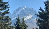 Tour Wandern Chamonix-Mont-Blanc - 20231011 Montroc Le Tour - Photo 4