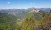 Randonnée Marche Saint-Julien-en-Beauchêne - 2029 05 31 les 4 cols - Photo 3