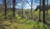 Tour Wandern Gedinne - Willerzie 190425 - Photo 8