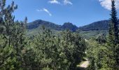 Tour Wandern Piégros-la-Clastre - Piegros la Clastre - Chapelle St Médard 15km - Photo 1