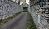 Trail Walking Menars - menais bord de Loire  - Photo 9
