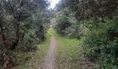 Tocht Stappen Laroque-des-Albères - Laroque-des-Albères . ballade de 2 fontaines  - Photo 13