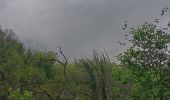 Randonnée Marche Stoumont - stoumont :  aller via corniche , retour via amblève - Photo 8