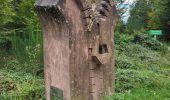 Trail Walking Urmatt - Lutzelhouse - sentier des géants - Photo 17