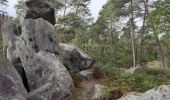 Trail Walking Fontainebleau - Rochers d'Avon - Photo 3