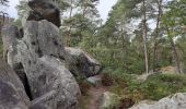 Randonnée Marche Fontainebleau - Rochers d'Avon - Photo 3