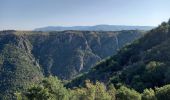 Trail Walking Prévenchères - Gorges du Chassezac au départ de la Garde guérin  - Photo 10