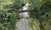 Trail On foot Philippsbourg - Blue triangle - Photo 9