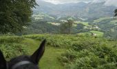 Trail Horseback riding Auritz - 2023 R2 J1 - Photo 1