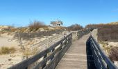 Percorso Marcia Le Touquet-Paris-Plage - Le Touquet : promenade de la Canche - Photo 4