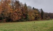 Tour Wandern Manhay - Deux Rys 161121 - Photo 3