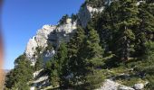 Percorso Marcia Saint-Pierre-de-Chartreuse - La Dent de Crolles en boucle - Photo 10