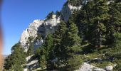 Tour Wandern Saint-Pierre-de-Chartreuse - La Dent de Crolles en boucle - Photo 10