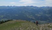 Randonnée Marche Faucon-de-Barcelonnette - La Chalanche - Photo 1