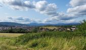 Tocht Elektrische fiets Essert - VTT - Essert - Salbert - Vétrigne - Miotte - Citadelle Belfort - Essert - Photo 18