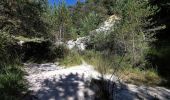 Tour Wandern Saou - Chapelle Saint-Médard à partir des Sables Blanc - Photo 3