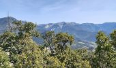 Excursión Senderismo Marignac-en-Diois - la montagne de Desses - Photo 4