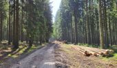 Trail Walking La Roche-en-Ardenne - Sanree 300523 - Photo 14