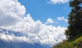Trail Walking Chamonix-Mont-Blanc -  Depuis le télécabine de La Flégère jusqu'au refuge et Lac Blanc et descente bouclée par les Lacs des Chéserys - Photo 1