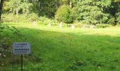 Trail Walking Urmatt - Lutzelhouse - sentier des géants - Photo 3