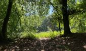 Trail Walking Fleury - en Forêt de Retz_92_05_2022_Rond d'Orléans_Chapeau des Cordeliers_la Laie des étangs de Longpont - Photo 20