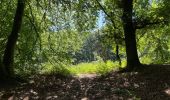 Excursión Senderismo Fleury - en Forêt de Retz_92_05_2022_Rond d'Orléans_Chapeau des Cordeliers_la Laie des étangs de Longpont - Photo 20