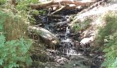Trail Walking Houffalize - tour du lac des 2 ourthes - barrage de Nisramont  - Photo 17