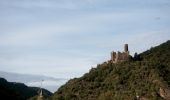 Trail On foot Sankt Goarshausen - Rheinsteig-Zuweg Nochem - Photo 9