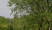 Tocht Stappen Wezet - Visé, Natura des sites qui valent le détour Lg17 - Photo 16