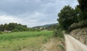 Trail Walking Vaugines - PF-Vaugines - Cucuron - l'Ermitage - Vaugines - 17.06.2021 - Photo 10