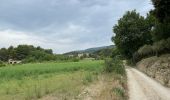 Tocht Stappen Vaugines - PF-Vaugines - Cucuron - l'Ermitage - Vaugines - 17.06.2021 - Photo 10