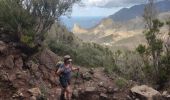Trail Walking Santa Cruz de Tenerife - Afur - Taganana - Photo 16
